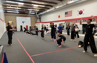 Utah Karate Institute