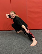 Utah Karate Institute